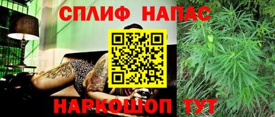 гашик Малоярославец